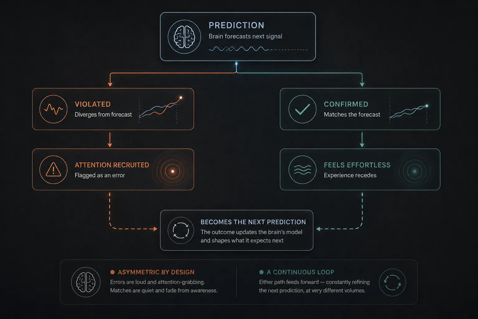 A diagram of predictive processing — the brain forecasts the next signal, which is either violated (loud, attention-recruiting, flagged as error) or confirmed (quiet, effortless, the experience recedes); either outcome feeds forward to become the next prediction.